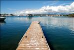 La Guancha, Ponce